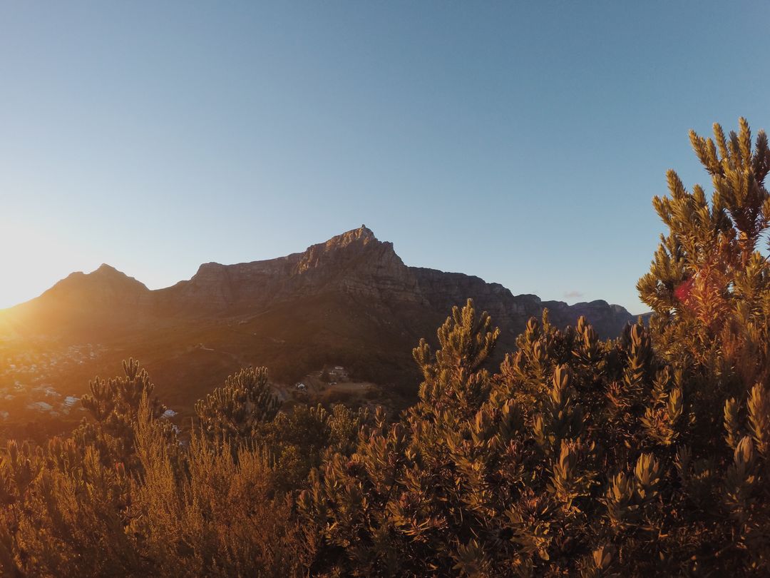 Sunrise Over Mountain Range with Vegetation in Foreground - Free Images, Stock Photos and Pictures on Pikwizard.com