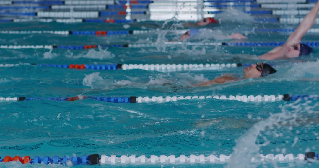 Diverse Male Swimmers Racing Backstroke in Indoor Swimming Pool during Competition - Free Images, Stock Photos and Pictures on Pikwizard.com