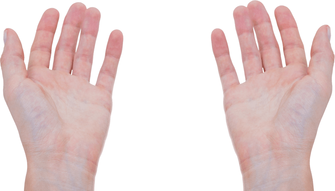 Open Caucasian Hands Isolated Transparent Background