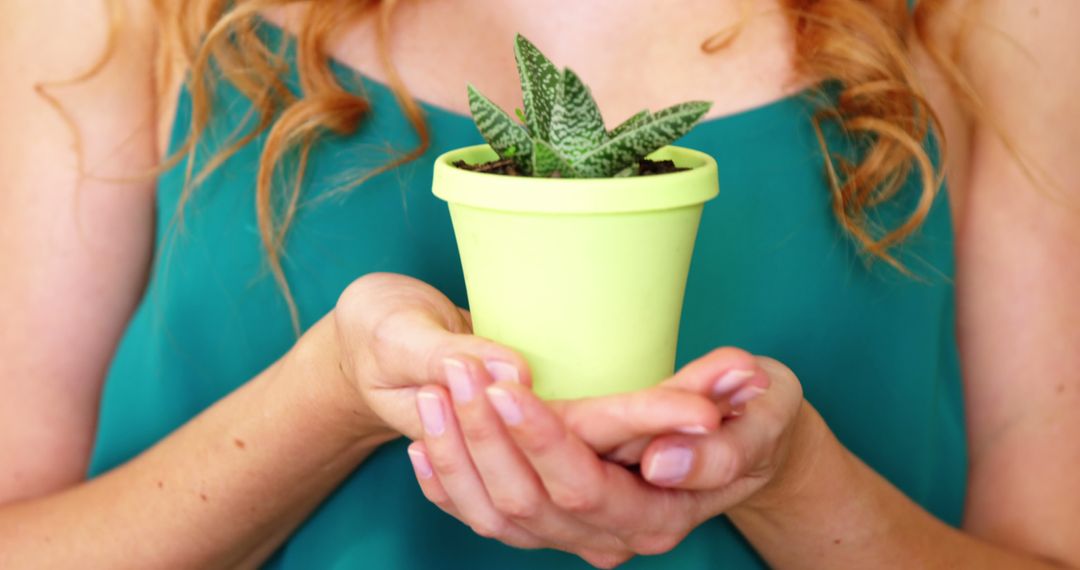 Woman Holding Small Succulent in Bright Green Pot Closeup - Free Images, Stock Photos and Pictures on Pikwizard.com
