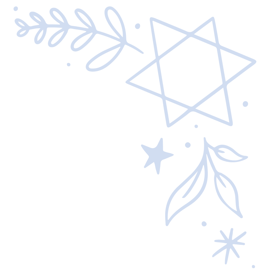 Botanical Line Art Stars and Sprigs on Transparent Background