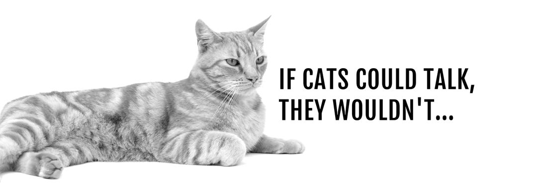 Contemplative Cat with Humorous Statement on Communication - Download Free Stock Images Pikwizard.com