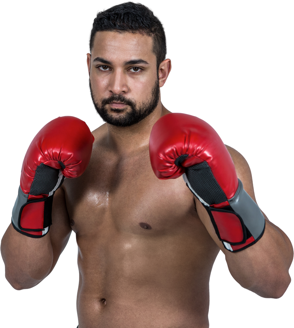 Determined Boxer in Red Gloves Preparing for Fight - Transparent Background - Download Free Stock Images Pikwizard.com