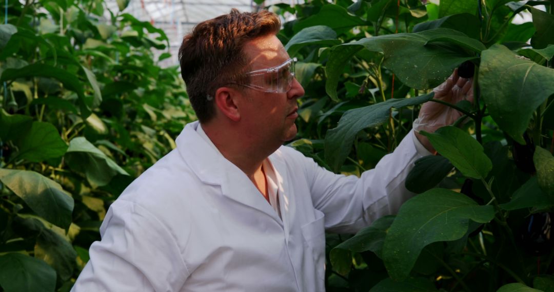 Scientist Analyzing Plant Growth in Greenhouse Laboratory