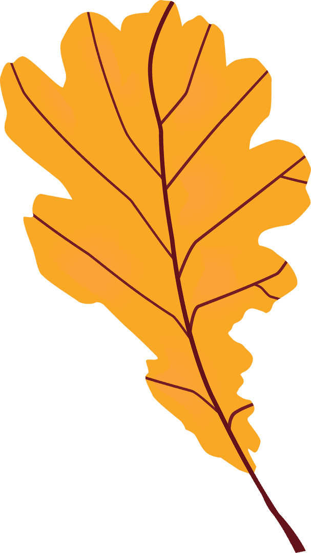 Bright Orange Oak Leaf Illustration Transparent Background