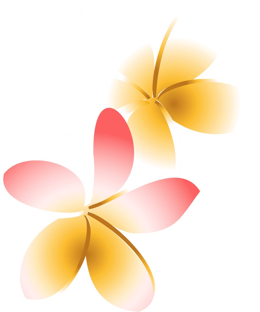 Elegant Plumeria Blooms on Transparent Background Design