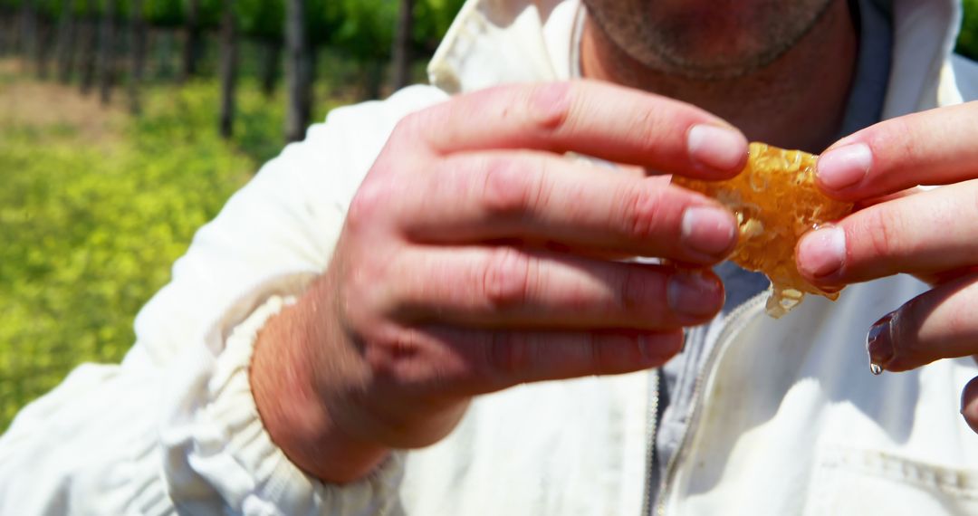 Beekeeper inspecting honeycomb in field closeup view - Free Images, Stock Photos and Pictures on Pikwizard.com