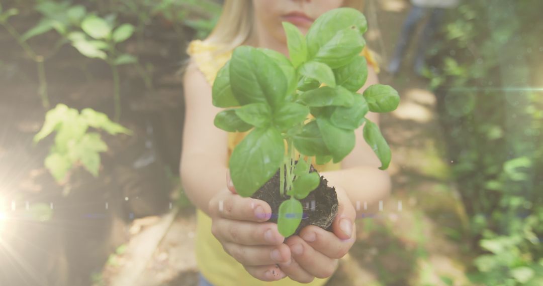 Young Girl Presenting Seedling in Sunlit Community Garden
