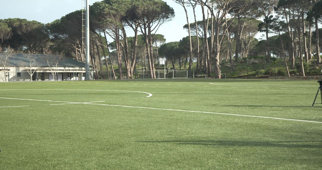 Empty Soccer Field with Sunlit Greenery Background