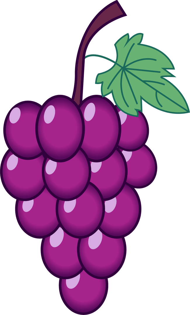 Stylized Purple Grapes with Leaf on Transparent Background
