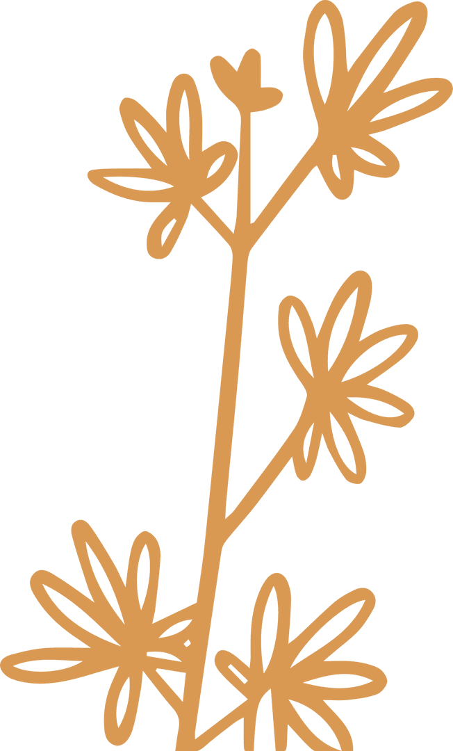 Abstract Floral Line Artwork with Transparent Background