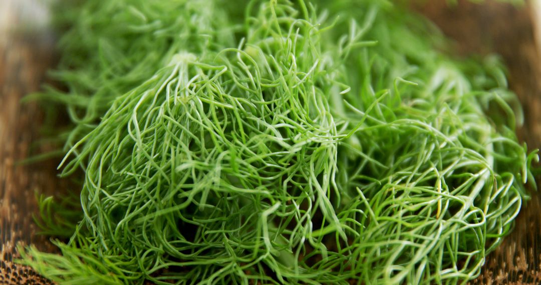 Fresh Dill Weed Close-Up on Wooden Board - Free Images, Stock Photos and Pictures on Pikwizard.com