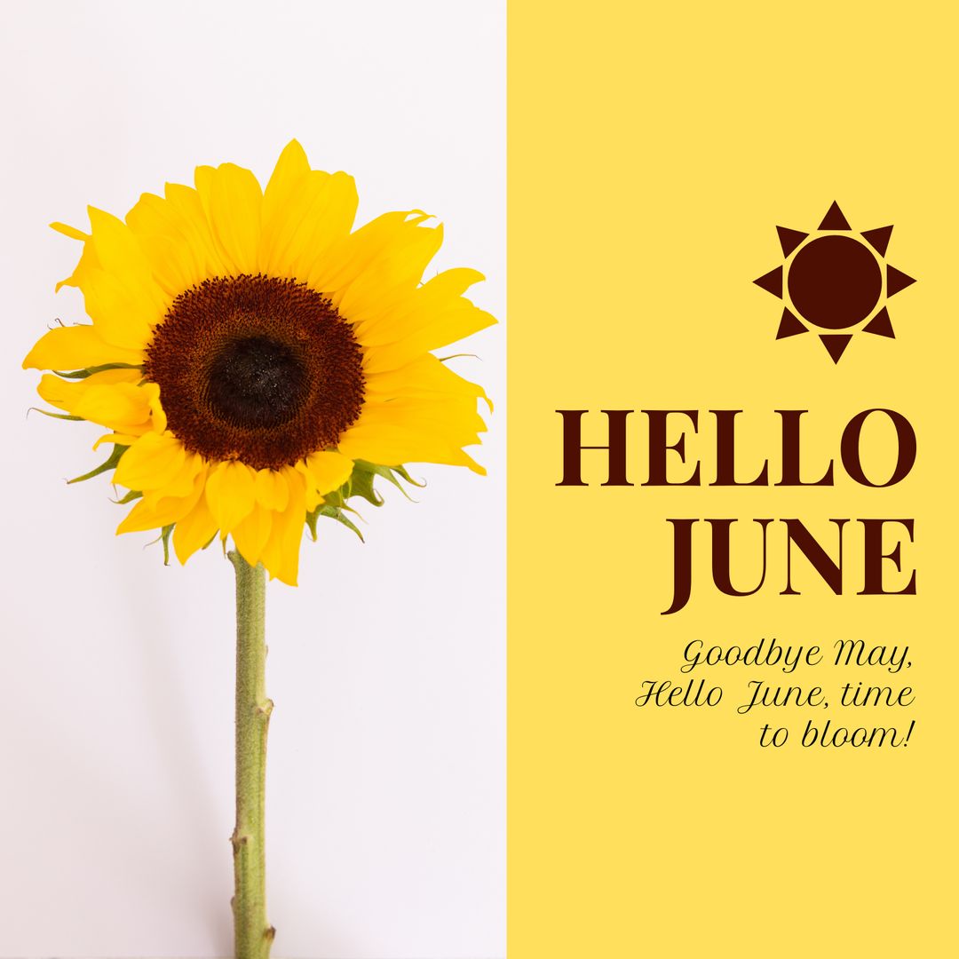 Hello June Greeting with Vibrant Sunflower
