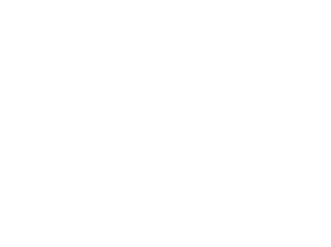 Transparent Silhouette of Sportswoman with Exercising Ball - Download Free Stock Images Pikwizard.com