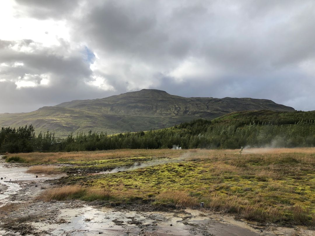 Steam rising from geothermal marsh with moss-carpeted meadow and looming mountain
