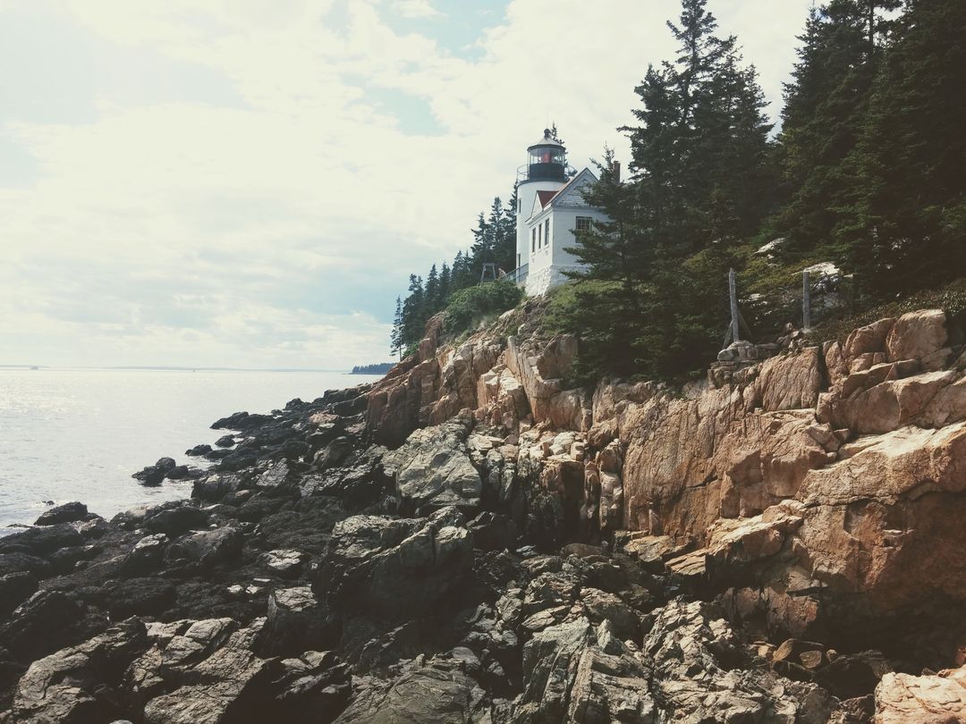 Historic Lighthouse on Rocky, Pine-Covered Coastline - Free Images, Stock Photos and Pictures on Pikwizard.com