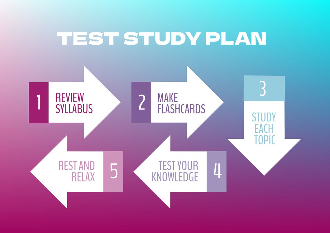 Vibrant Multicolor Study Plan Infographic for Organization