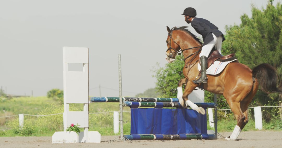 Equestrian Jumping Competition with Skilled Rider on Bay Horse - Free Images, Stock Photos and Pictures on Pikwizard.com