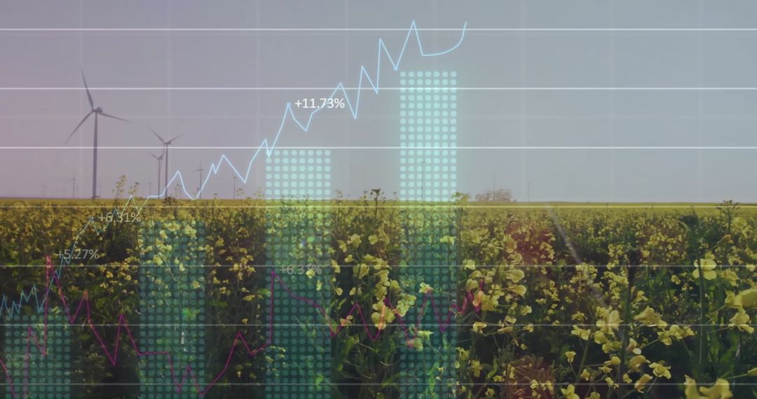 Digital Graphs Overlaying Wind Farm and Yellow Flower Field