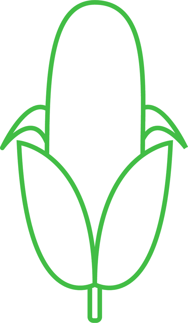 Green Corn Symbol on Transparent Background for Agriculture Use