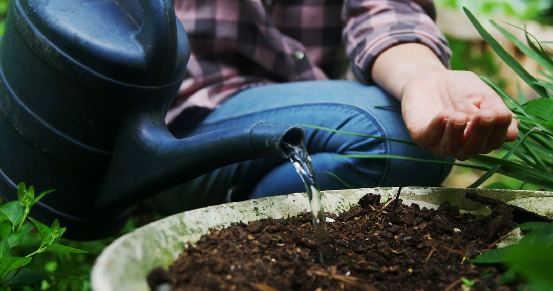 Person Watering Plants in Garden with Watering Can - Free Images, Stock Photos and Pictures on Pikwizard.com