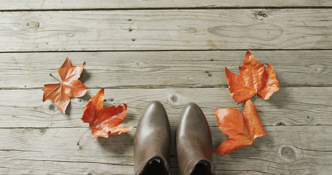 Image of autumn shoes and leaves on wooden background - Free Images, Stock Photos and Pictures on Pikwizard.com