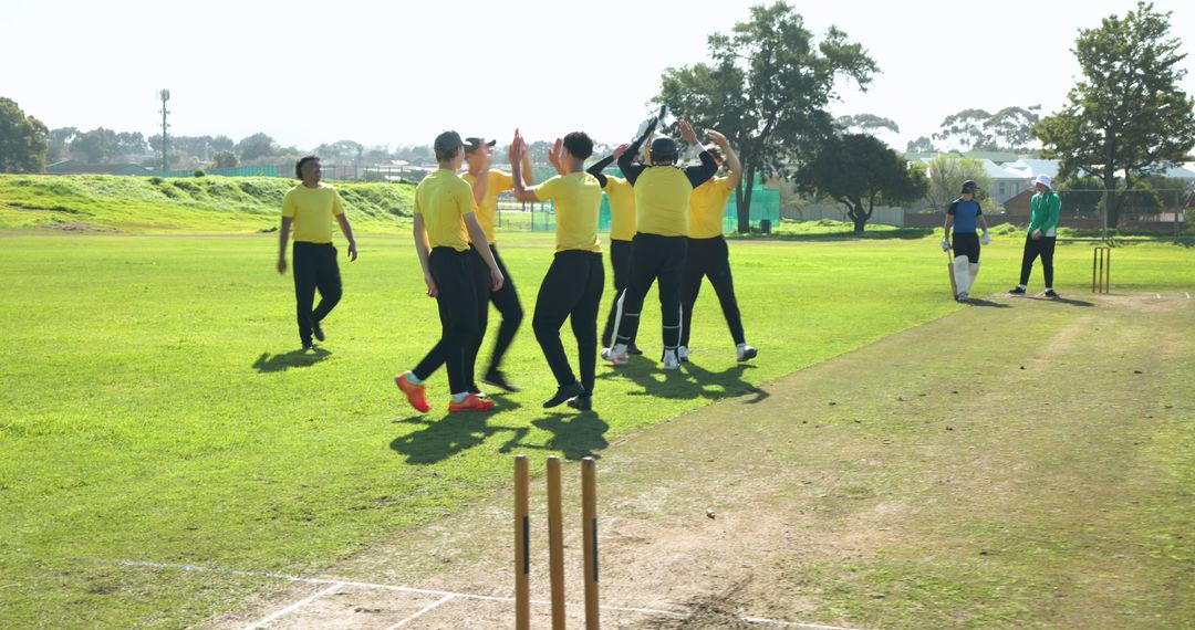 Cricket Team Celebrating on Field After Wicket