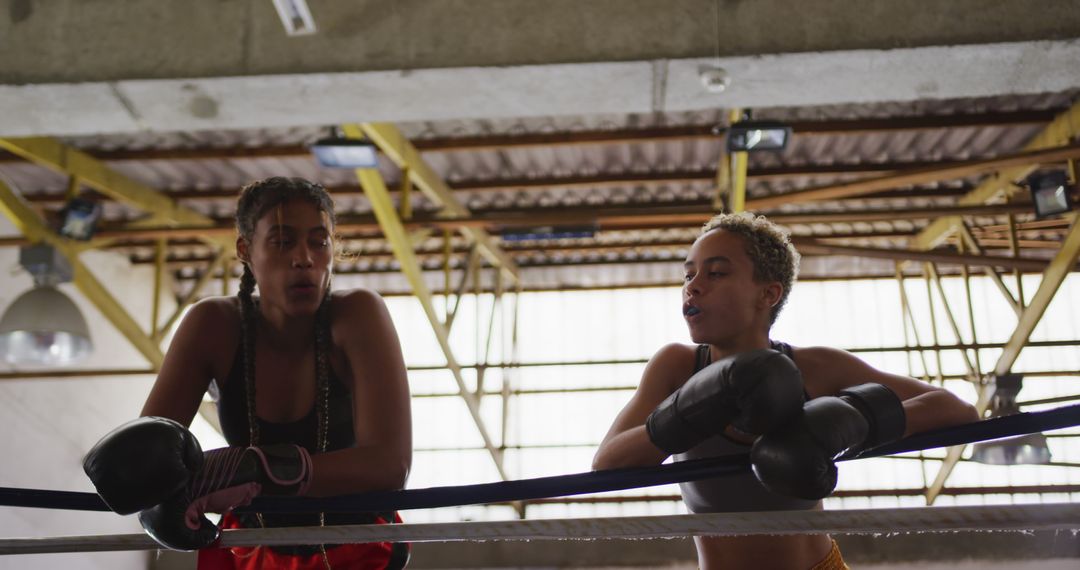 Female Athletes Resting After Boxing Training in Gym - Free Images, Stock Photos and Pictures on Pikwizard.com