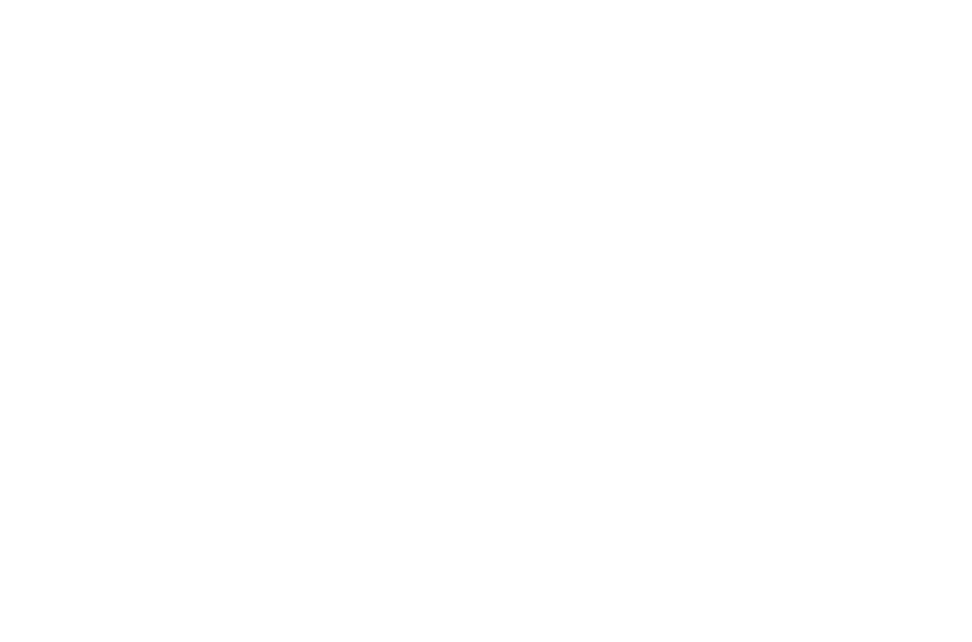 Transparent Pattern of White Rectangles Repeated