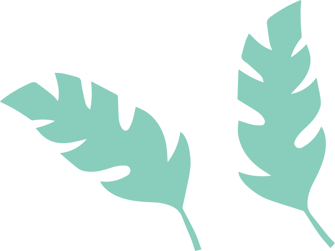 Transparent Botanical Leaves in Flat Vector Design