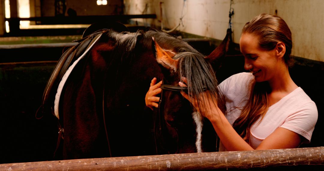 Smiling woman grooming black horse in stable - Free Images, Stock Photos and Pictures on Pikwizard.com