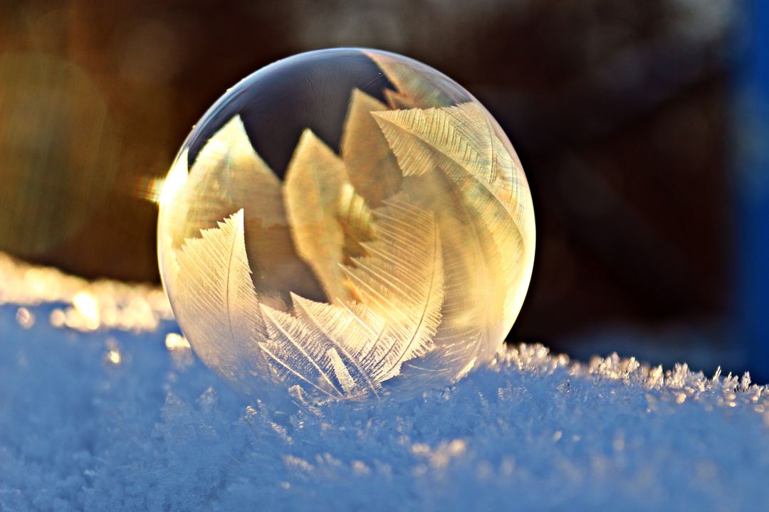 Frozen Soap Bubble with Snow and Feather-Like Crystals - Free Images, Stock Photos and Pictures on Pikwizard.com