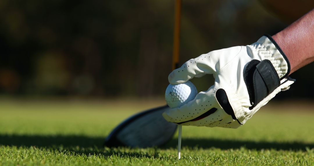 Golfer Ready for Swing on Verdant Golf Course Fairway