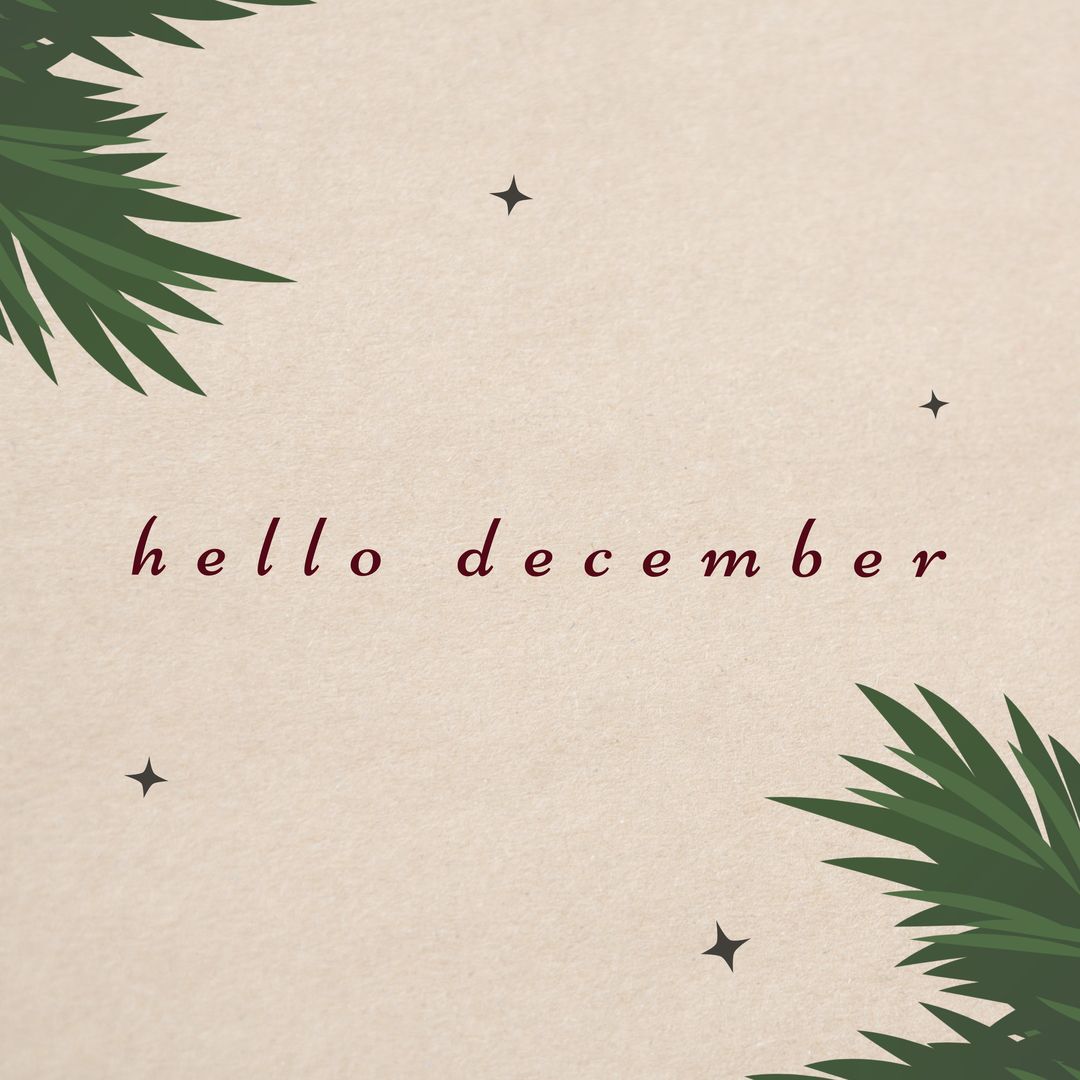 Illustration of hello december text with palm leaves and stars over white background, copy space - Download Free Stock Templates Pikwizard.com