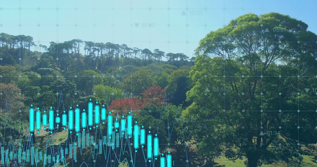 Nature and Technology: Eco-Friendly Data Visualization Concept