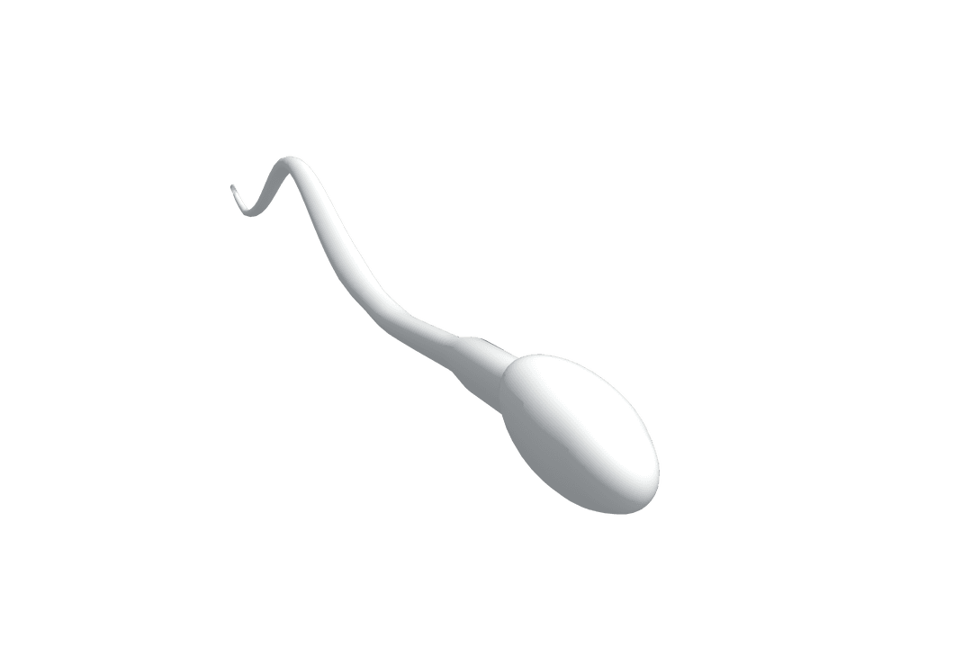 Digital Illustration of White Sperm Cell on Transparent Background