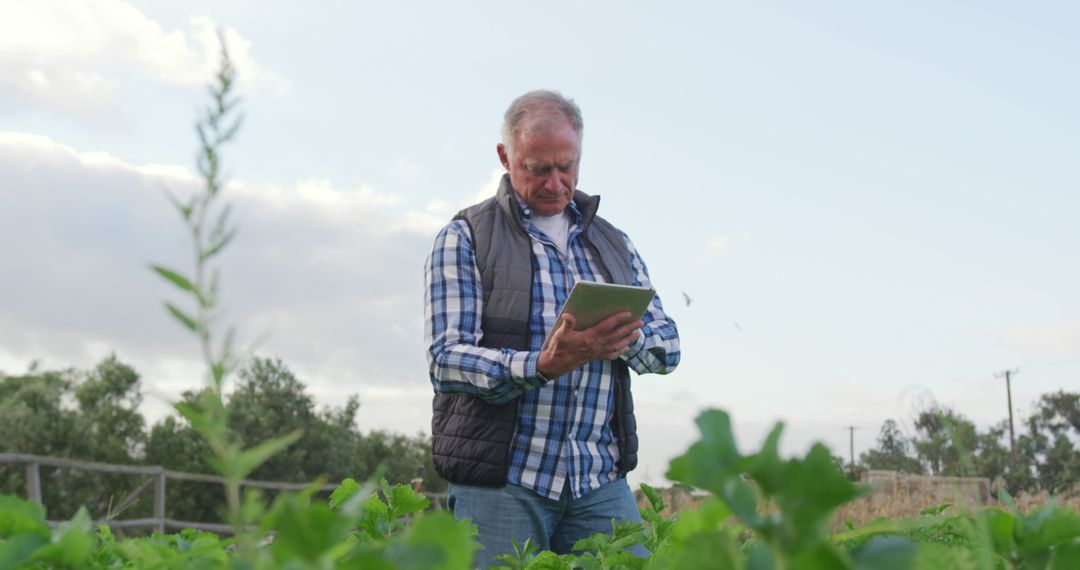 Senior farmer using digital tablet in agricultural field - Free Images, Stock Photos and Pictures on Pikwizard.com