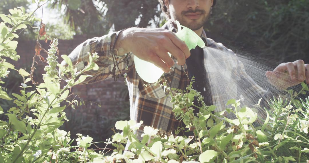 Man Spraying Plants with Water in Garden on Sunny Day - Free Images, Stock Photos and Pictures on Pikwizard.com