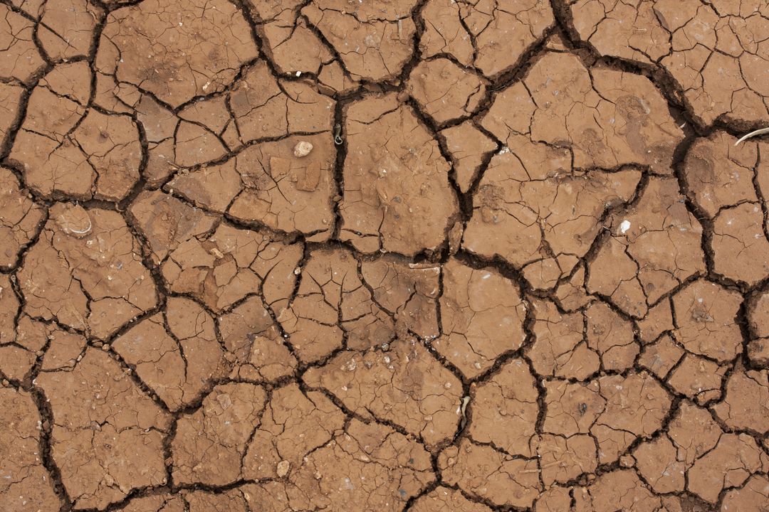 Close-Up View of Dry Cracked Earth Surface - Free Images, Stock Photos and Pictures on Pikwizard.com