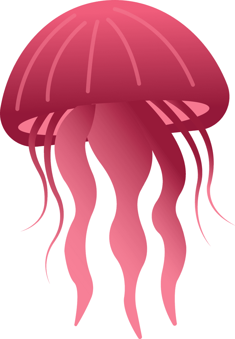 Transparent Jellyfish Illustration with Flowing Tentacles