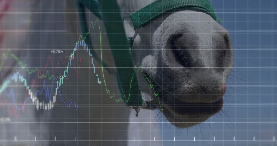 Horse Nose Overlaid with Line Graphs Representing Data Analytics