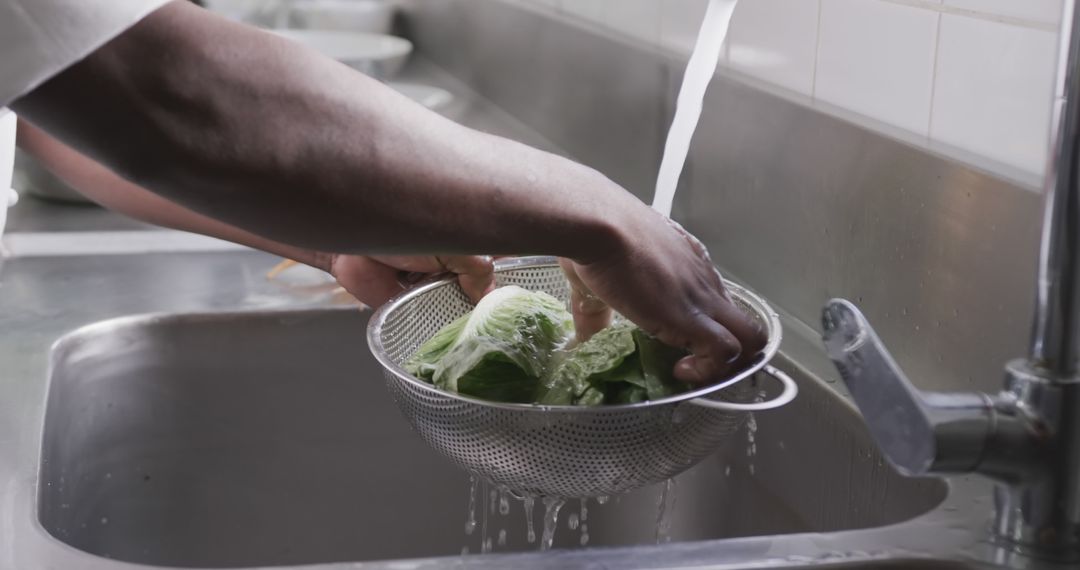 Hands Washing Fresh Lettuce in Kitchen Sink Under Running Water - Free Images, Stock Photos and Pictures on Pikwizard.com