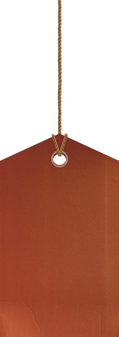 Blank Cardboard Price Tag on Transparent Background