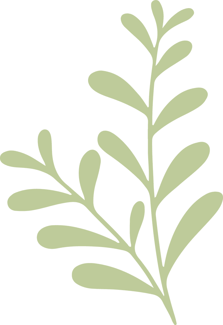 Flat Stylized Leafy Sprig on Transparent Background