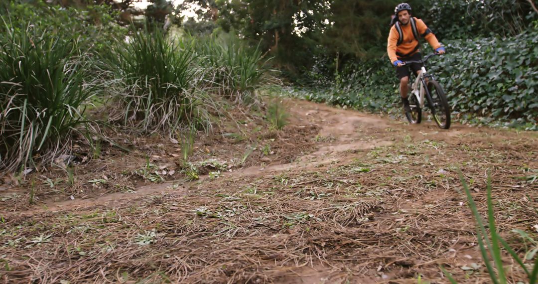 Man Mountain Biking on Scenic Dirt Trail