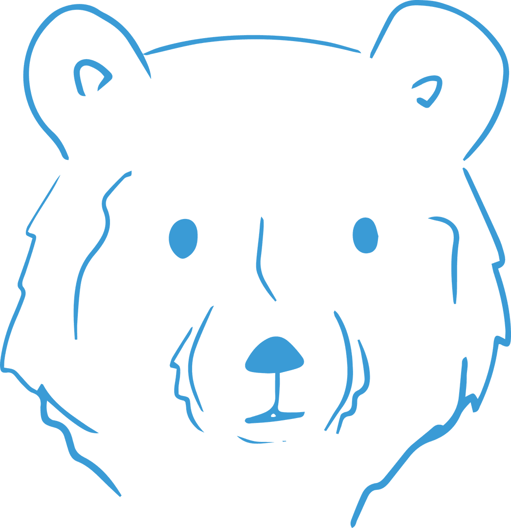 Minimalist Blue Line Drawing of Bear Head on Transparent Background