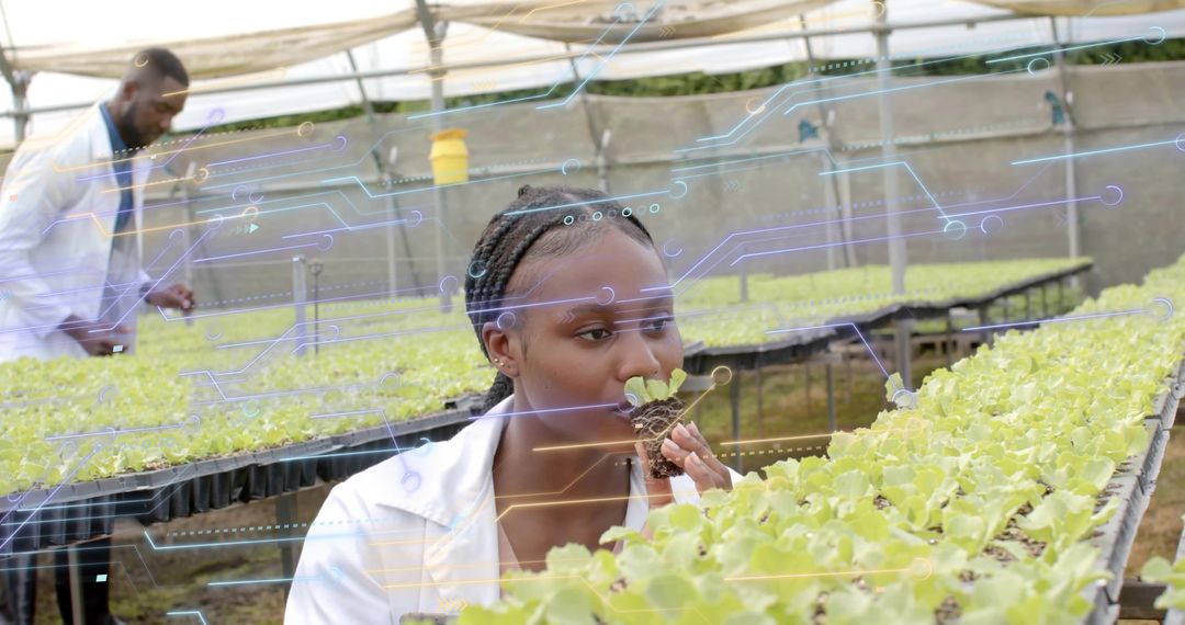 Female Scientist in Greenhouse Inspecting Seedlings with Futuristic Interface