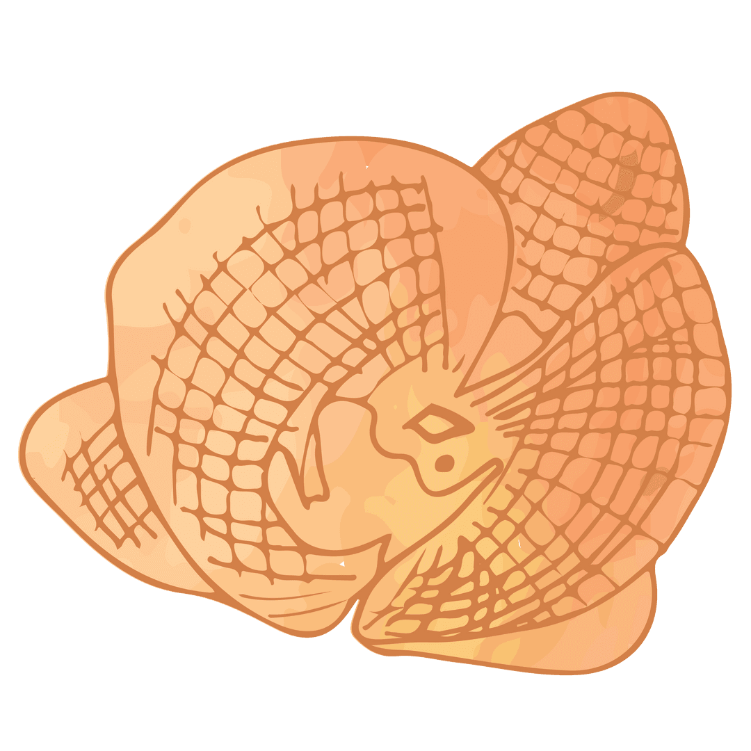 Transparent pink flower illustration with grid pattern