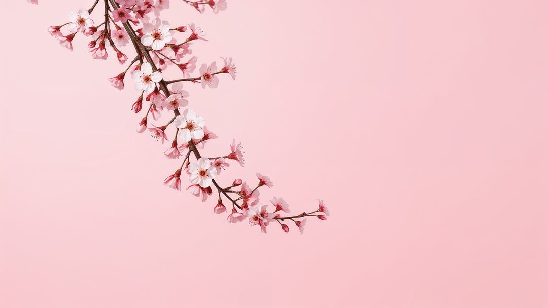 Minimalistic Spring Blossom Branch on Soft Pink Background