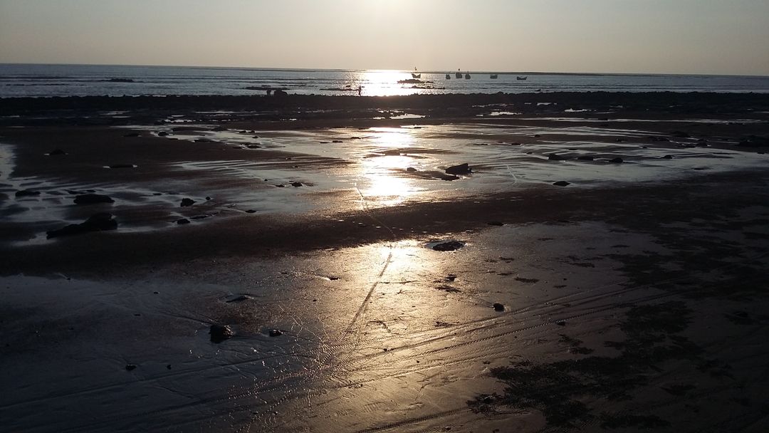 Golden Sunset Over Calm Ocean with Reflective Wet Sand - Free Images, Stock Photos and Pictures on Pikwizard.com